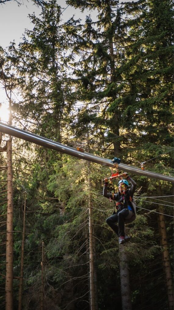 ROLLER COASTER MED KROŠNJAMI