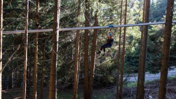 ROLLER COASTER AMONG TREETOPS
